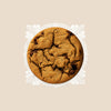 Peanut Butter Chocolate Chip (10-pack)